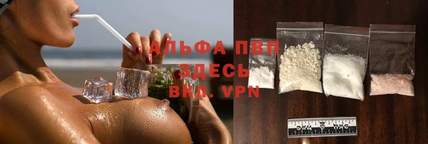 молекула духа Пестово