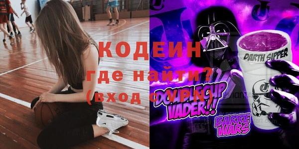 молекула духа Пестово