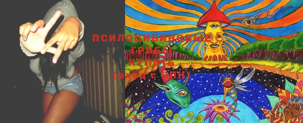 молекула духа Пестово