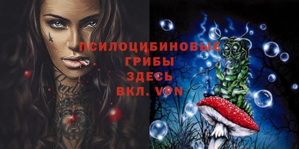 молекула духа Пестово