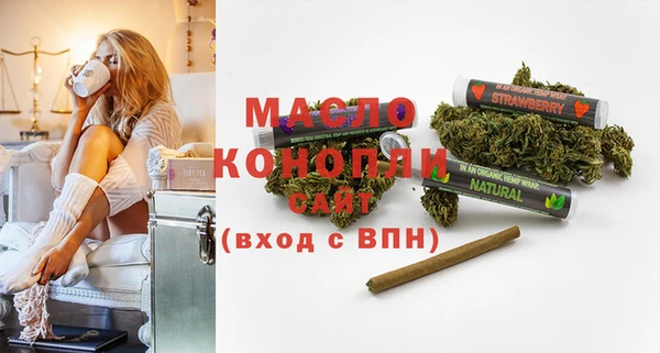 молекула духа Пестово