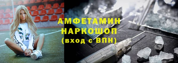 молекула духа Пестово
