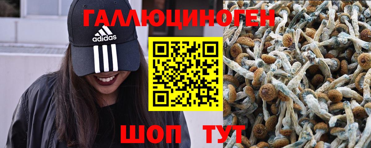 Галлюциногенные грибы мицелий Кострома