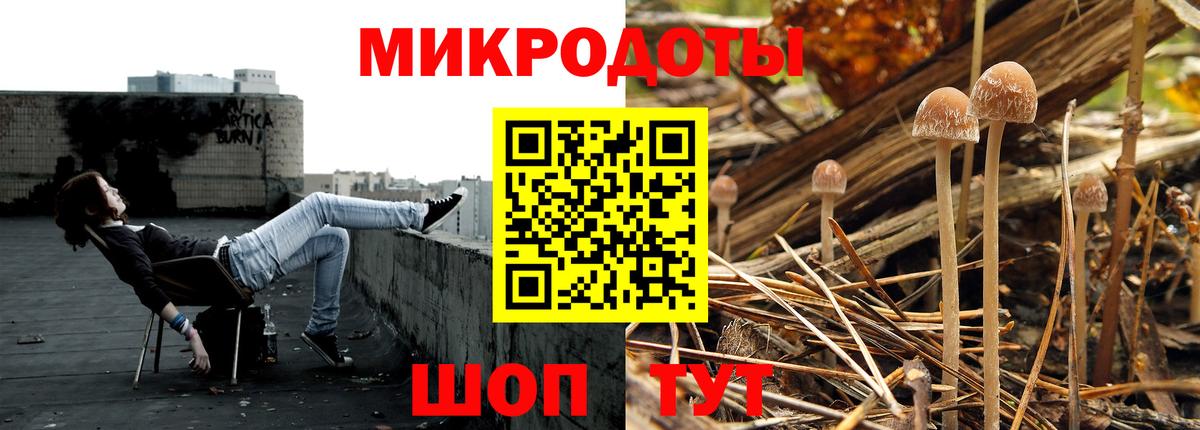 Галлюциногенные грибы Cubensis  Вход с VPN  Галлюциногенные грибы мицелий  Кострома 